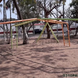 0310PAS ARAÑA 4